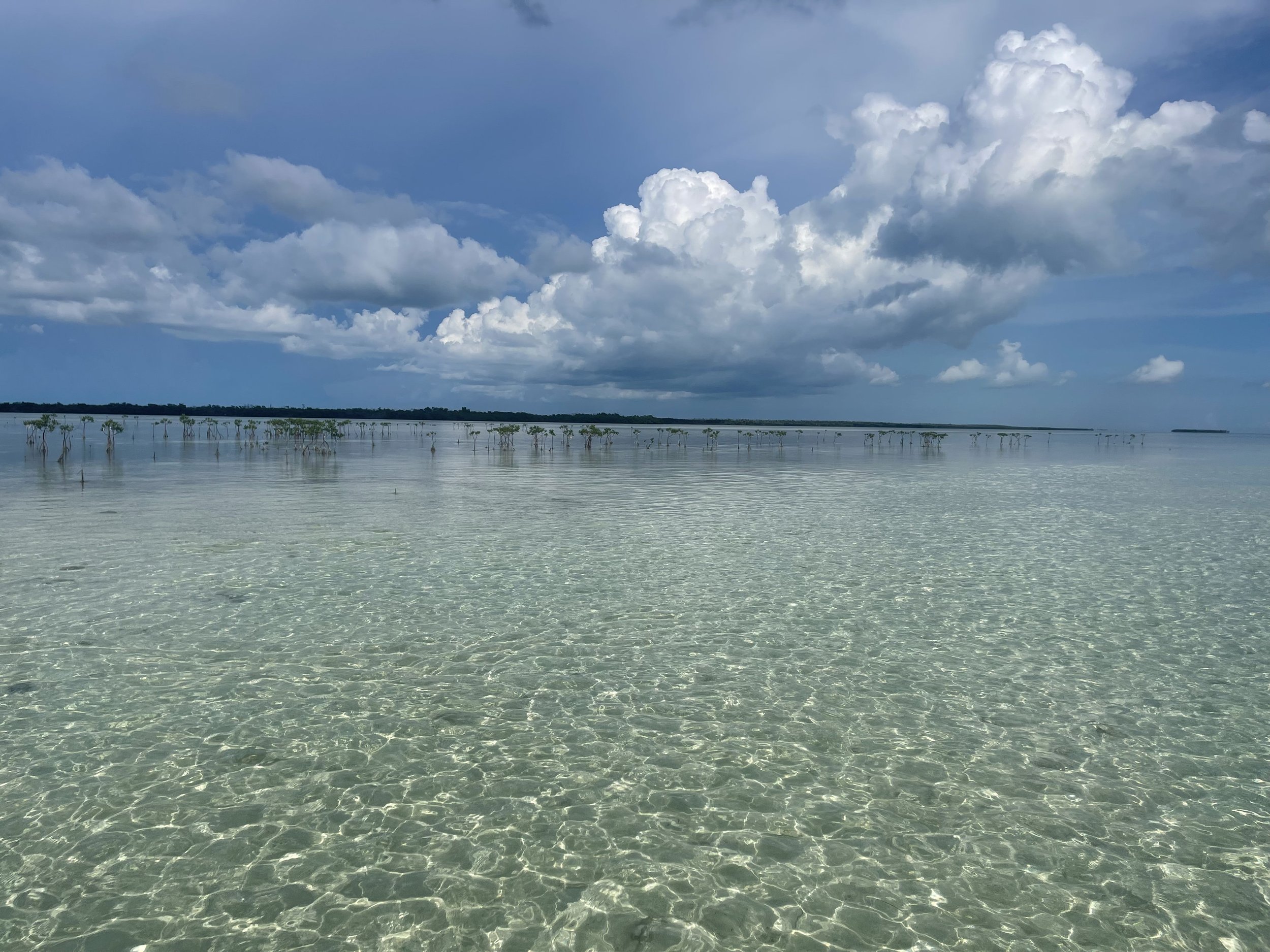 Krystal Thomas - Broker Associate @ ShineGroup brokered by eXp Realty + Key West & The Florida Keys Realtor - in Key West, FL (2)