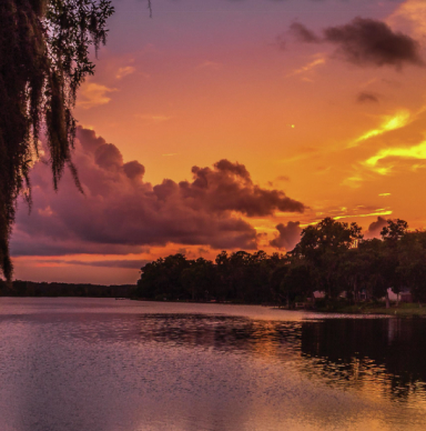 Liberty County Chamber of Commerce in Hinesville, GA (3)