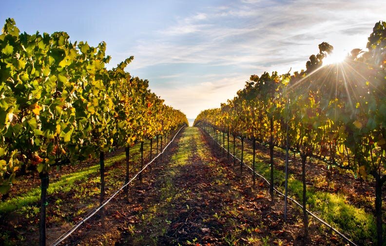 Passalacqua Law Office in Healdsburg, CA (2)