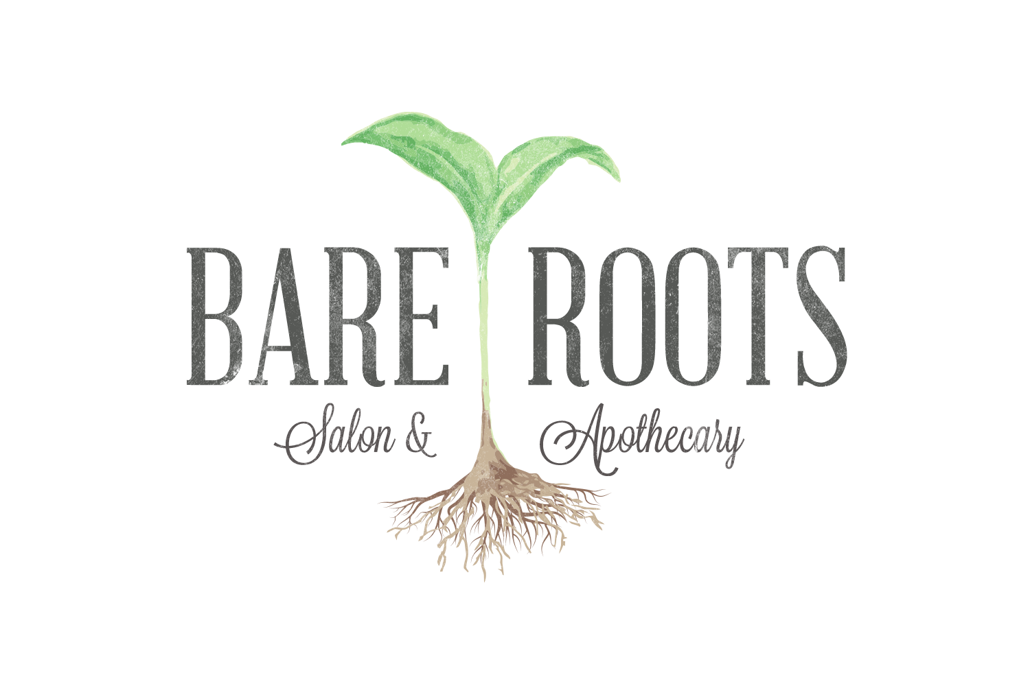 Bare Roots Salon & Apothecary in Fort Myers, FL