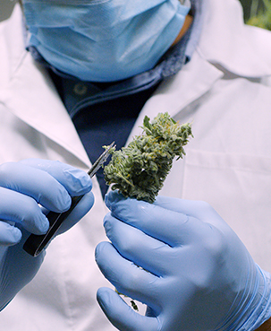 Xhale Cannabis Company in Mt Clemens, MI (5)