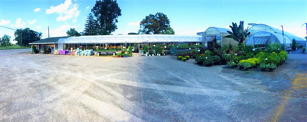 Loch Greenhouse in Swanton, OH
