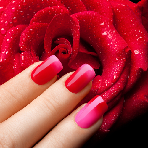 Lavish Nails and Spa in Auburn, CA (5)