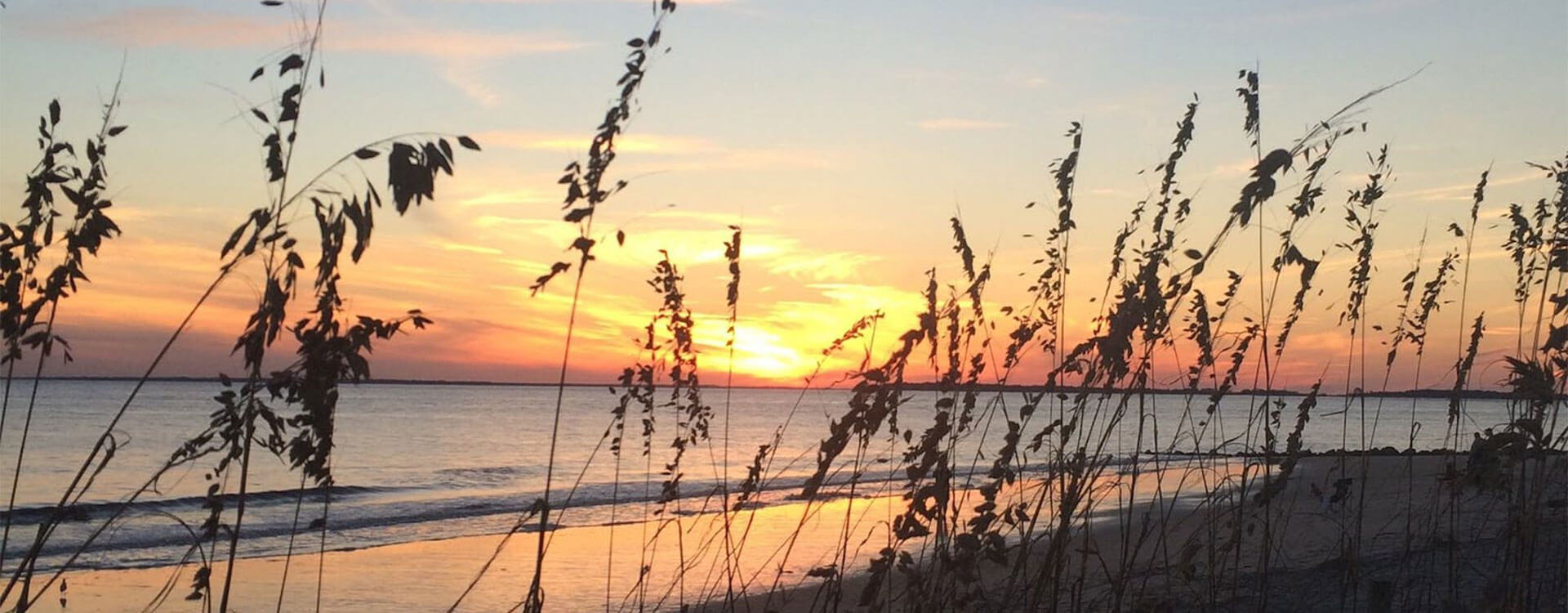 Botany Bay Ecotours in Edisto Island, SC