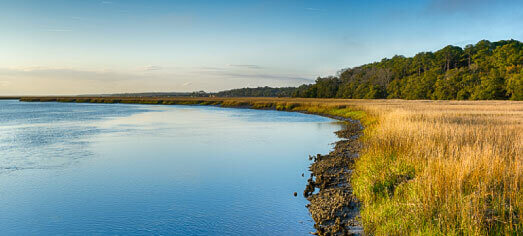 Botany Bay Ecotours in Edisto Island, SC (5)