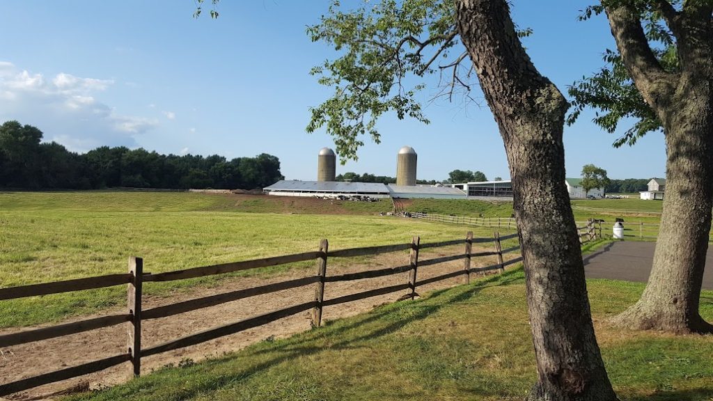 Tanner Brothers in Ivyland, PA (2)