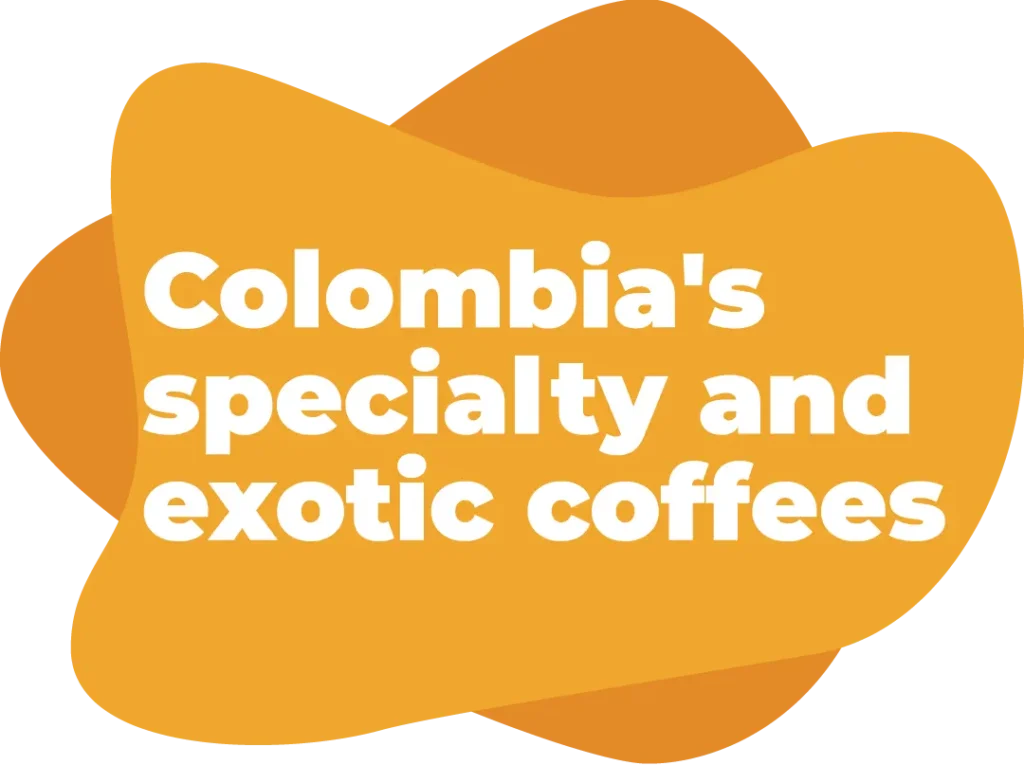 EL AMIGO COFFEE in Laredo, TX (5)