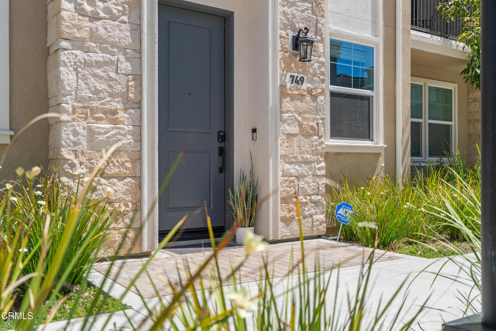 Juliana Lisheski - LIV Sotheby’s International Realty in Ventura, CA (3)