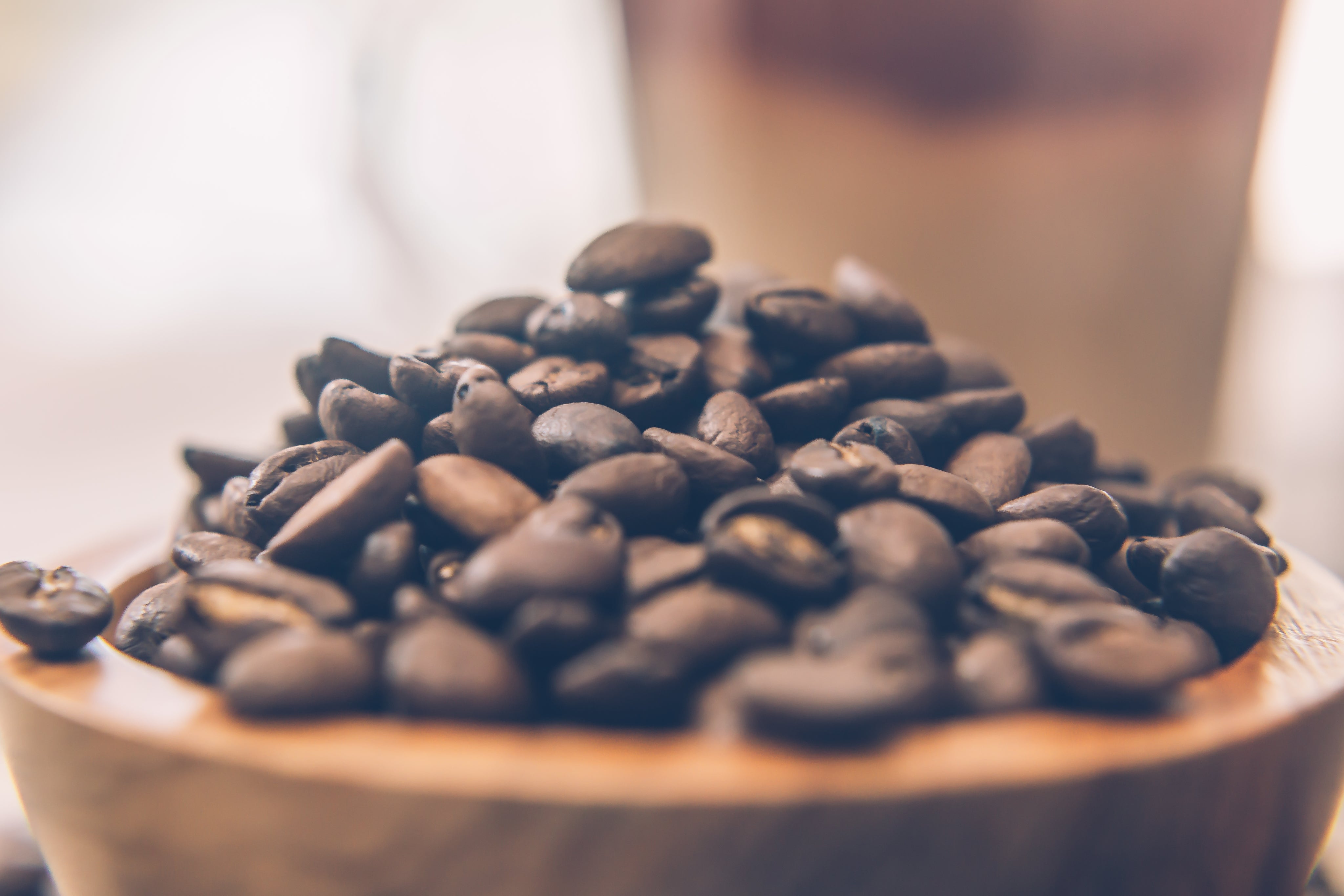 Coal River Coffee Company in St Albans, WV (4)