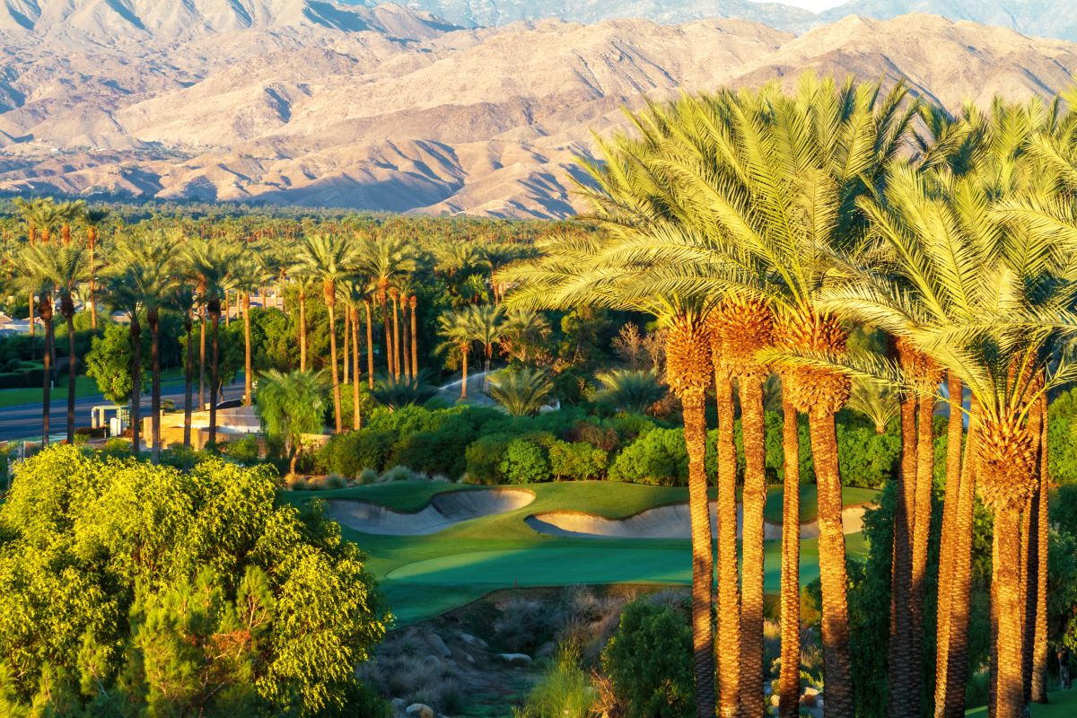 Eric Gray Realtor Desert Lifestyle Properties in Palm Springs, CA (2)