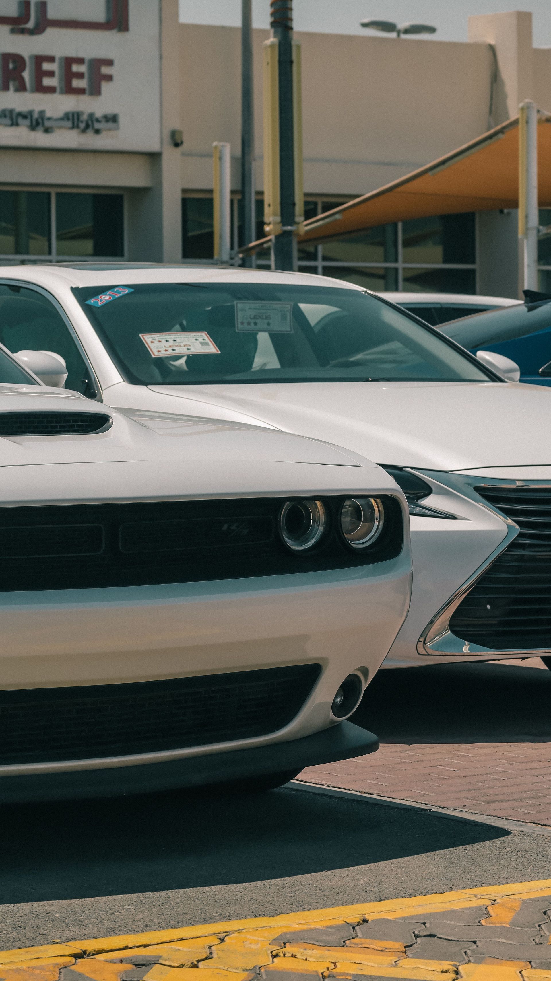 3DD Automotive in Texarkana, TX