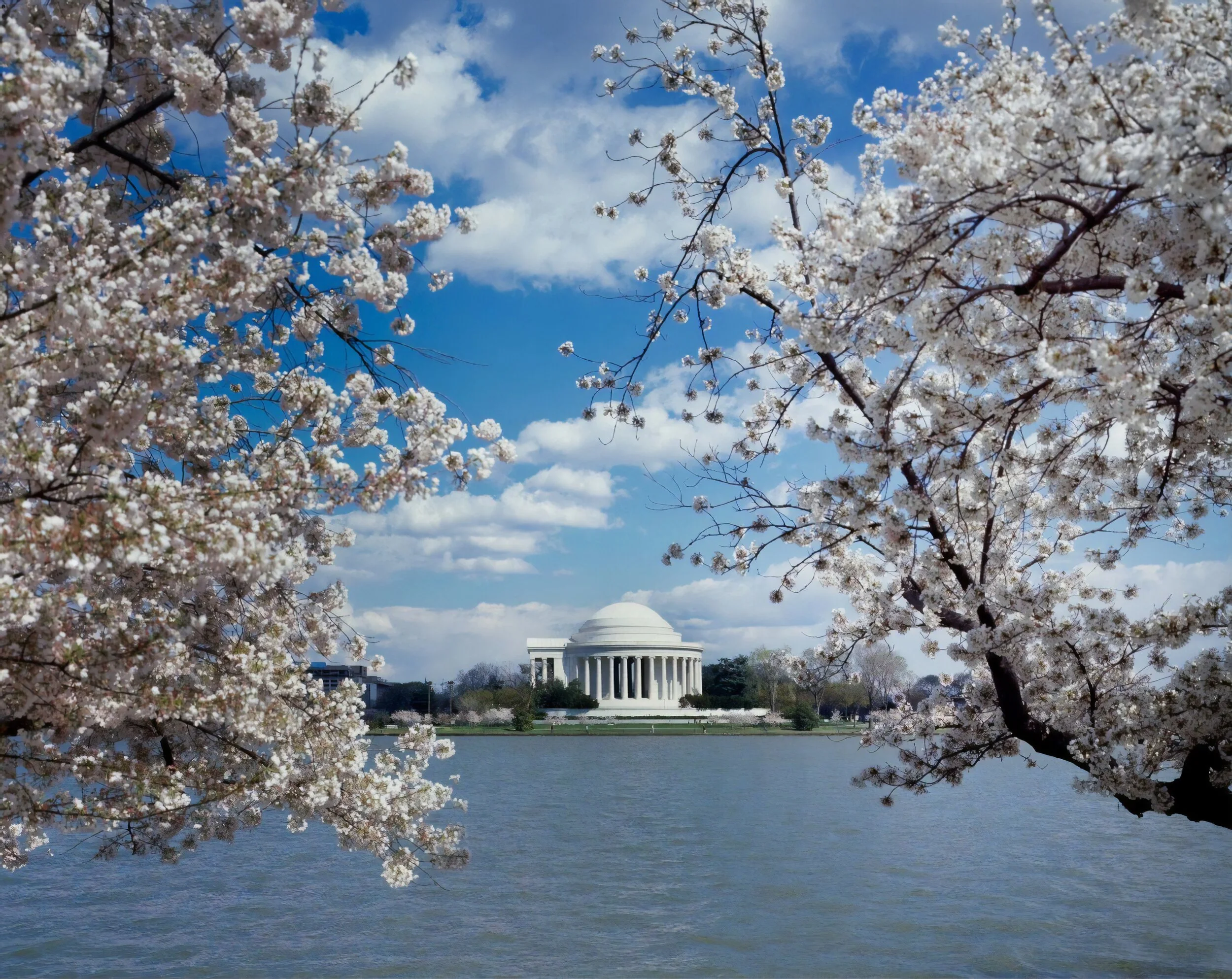 Area Real Estate in Washington, DC (2)