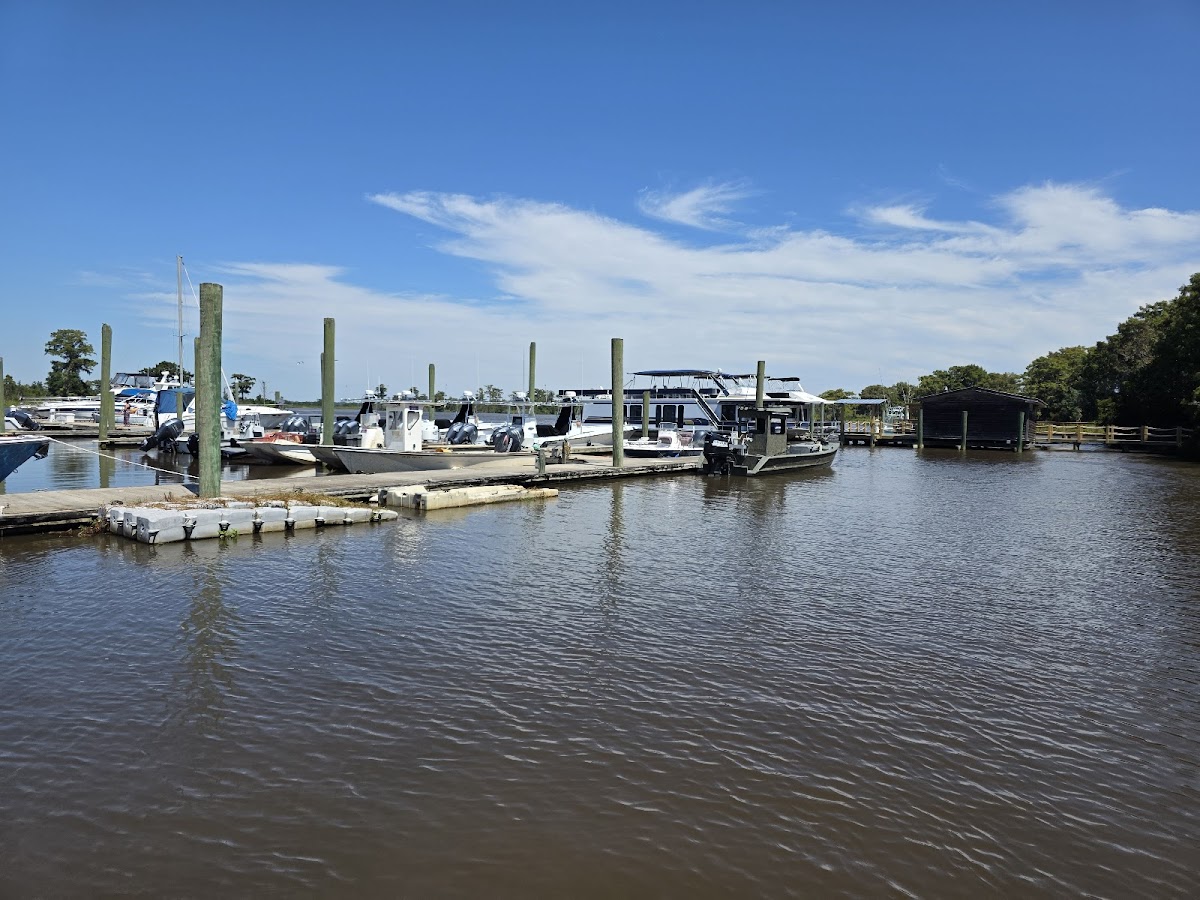 Mudcat Charlie's in Brunswick, GA (3)