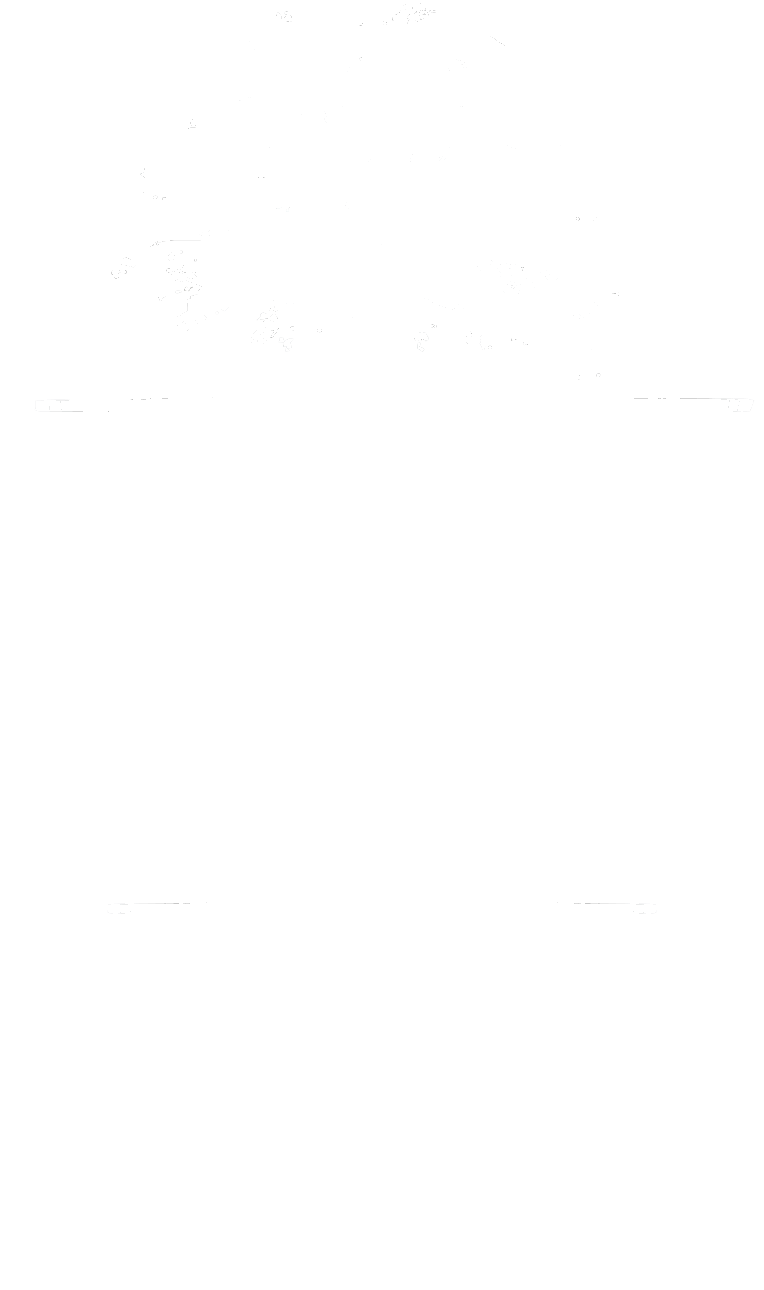 O'Shea Law Firm, LLC in Charleston, SC (6)