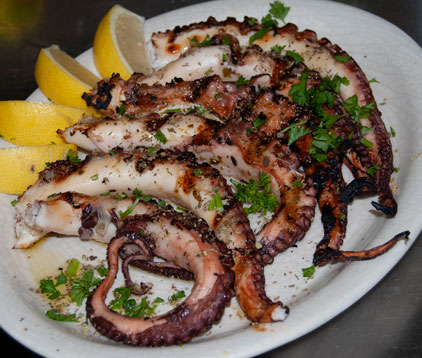 Mama's Greek Cuisine in Tarpon Springs, FL (5)