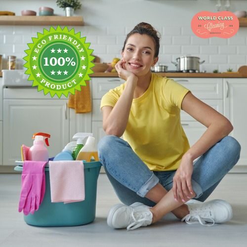 World Class Cleaning Services in Henrico, VA (6)