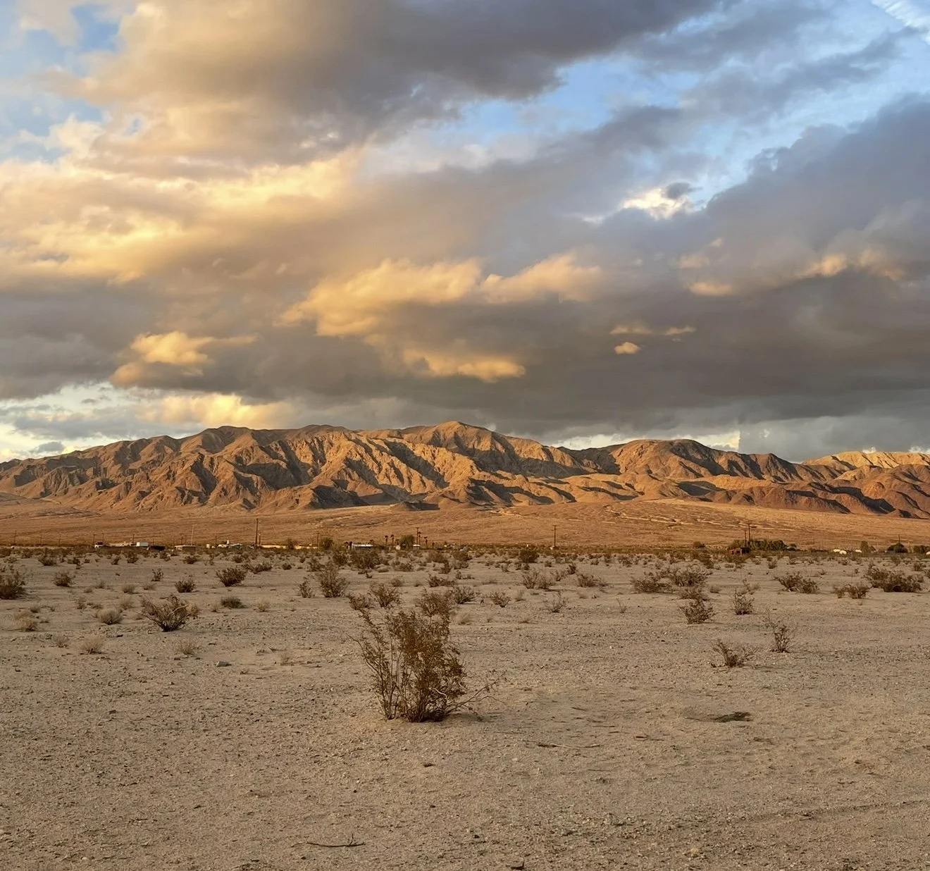 Ashley Hildreth, Real Estate Advisor, Military Relocation Specialist in Twentynine Palms, CA (2)