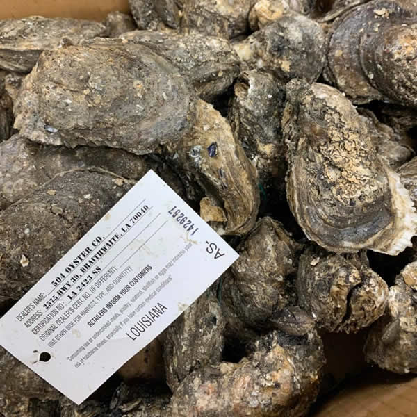 Kudzu Seafood Company in Macon, GA