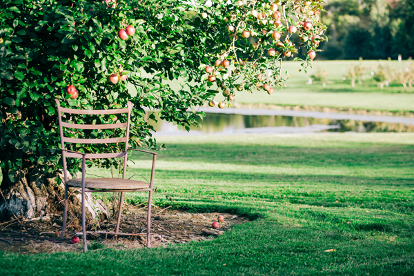 Davenport Cidery & Winery in Meadville, PA (5)