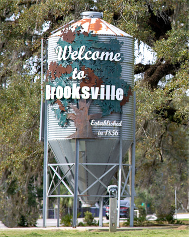The Law Office of Ashley Aulls in Brooksville, FL (3)