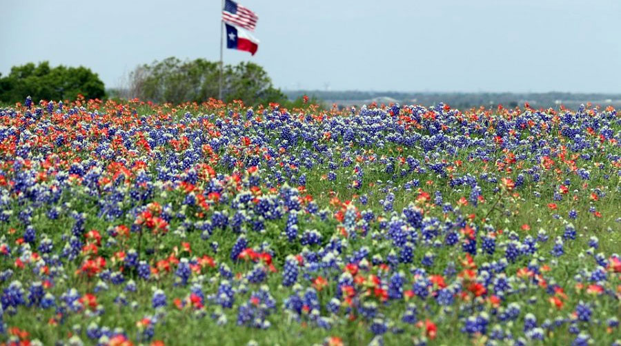 Weatherbee Real Estate in Graham, TX (6)