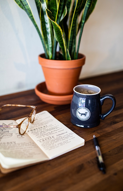 Paper Fox Coffee in Tallahassee, FL (3)
