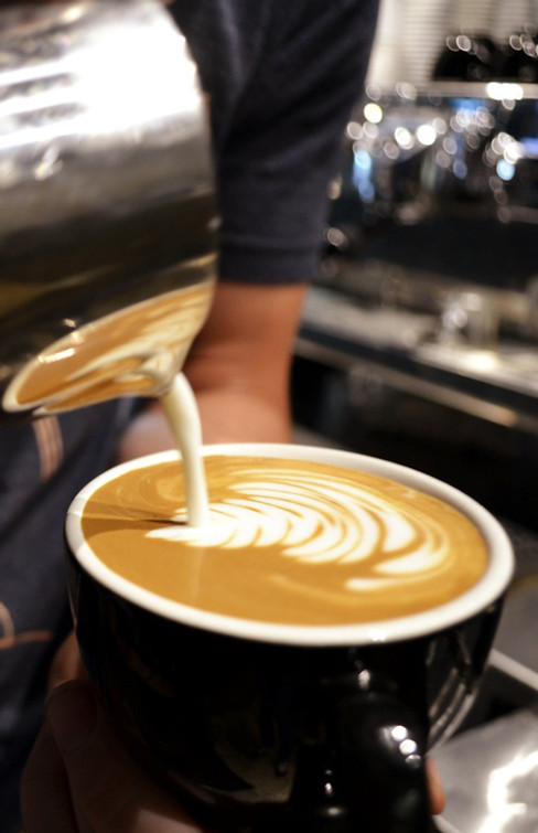 Paper Fox Coffee in Tallahassee, FL (4)