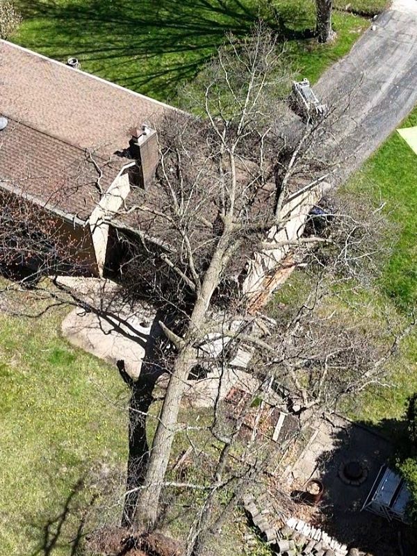 Husky Tree Services in Muskego, WI (5)