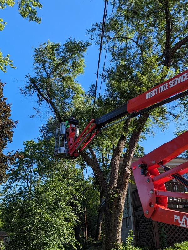 Husky Tree Services in Muskego, WI (6)