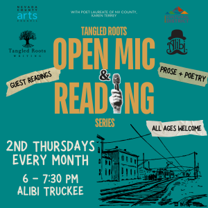 Alibi Ale Works - Truckee Public House in Truckee, CA (5)