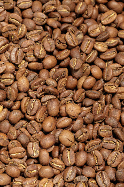 Rothrock Coffee in State College, PA (5)