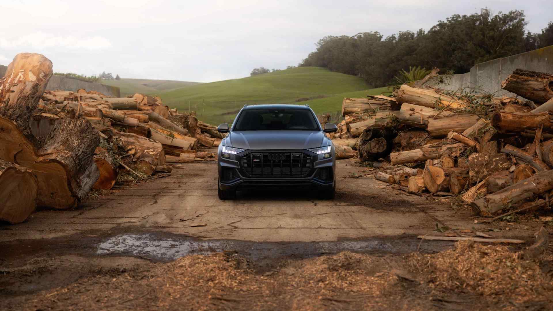 Audi Marin in San Rafael, CA (5)