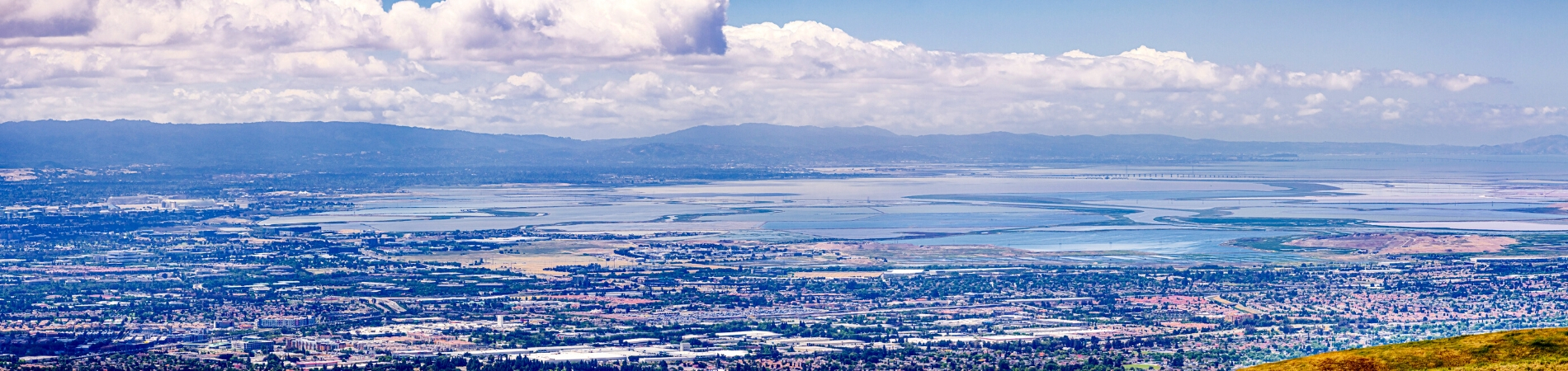 Talis Team Real Estate in Los Altos, CA