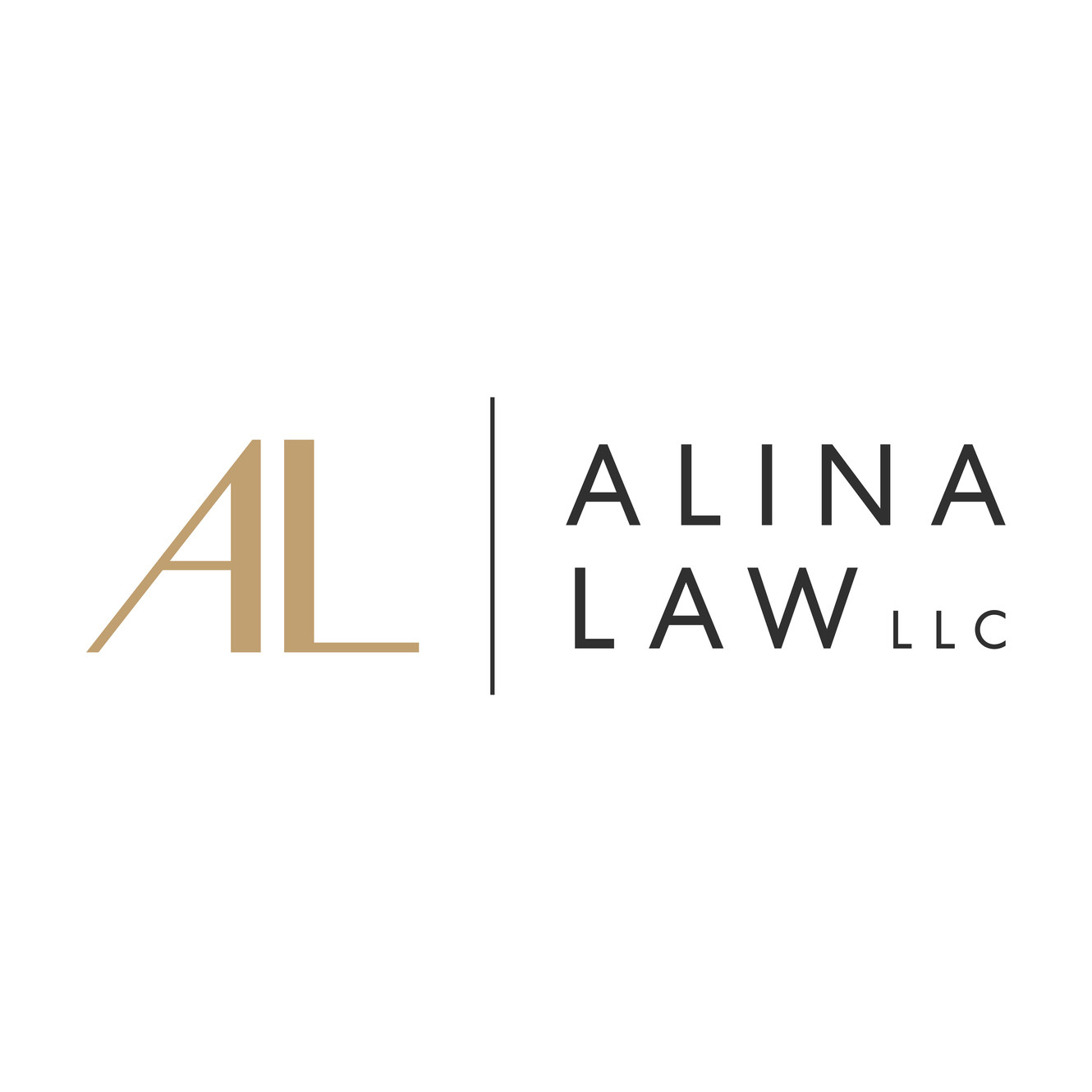 Alina Law LLC in Chagrin Falls, OH