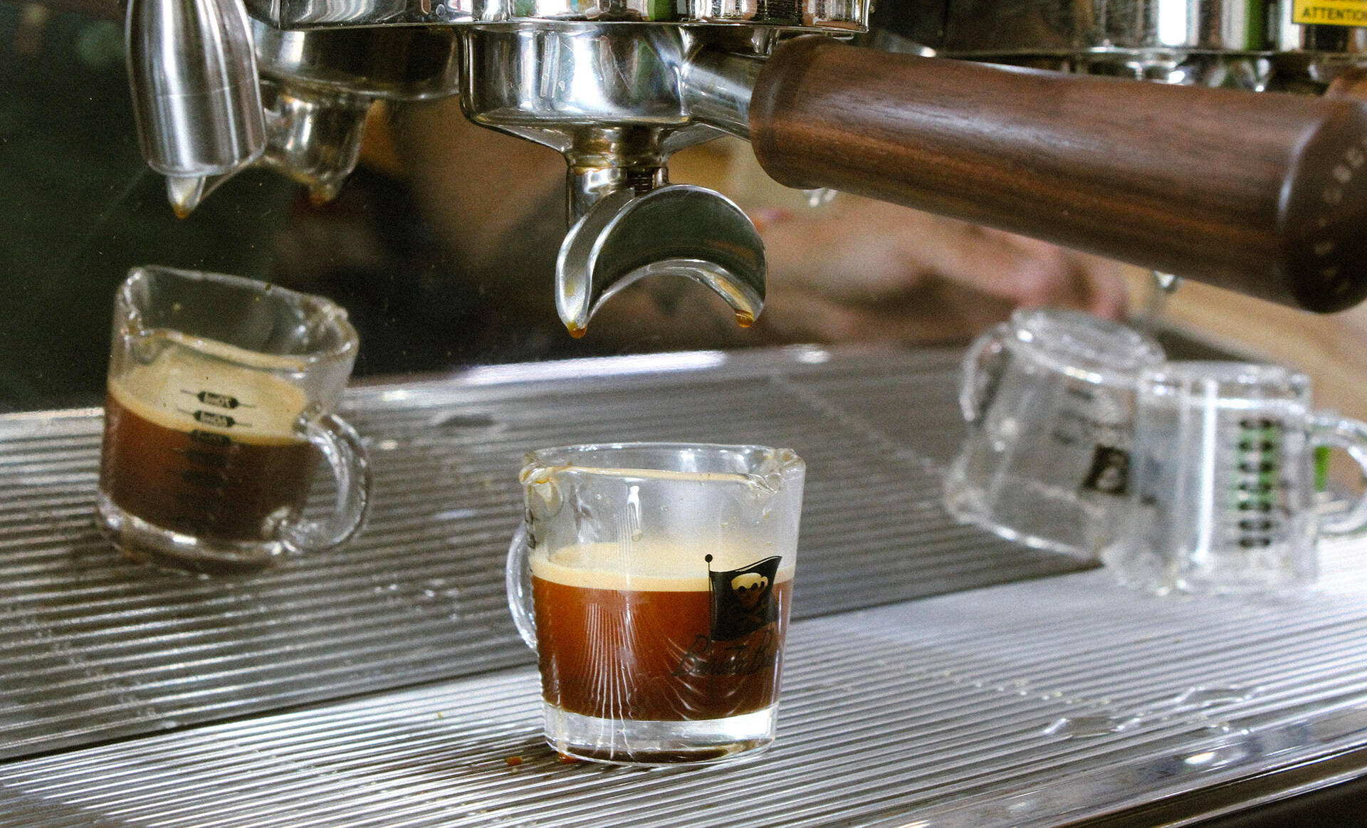 Feathered Saddle Coffee in Carol Stream, IL