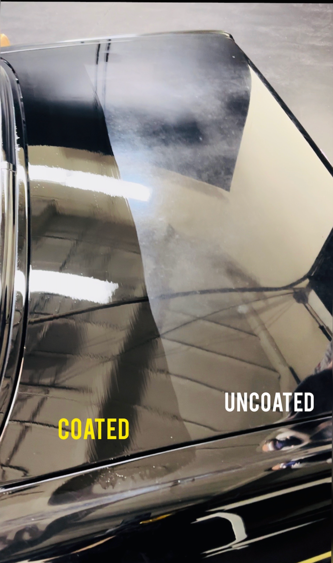 Auto Protection Detailing in Sterling Heights, MI
