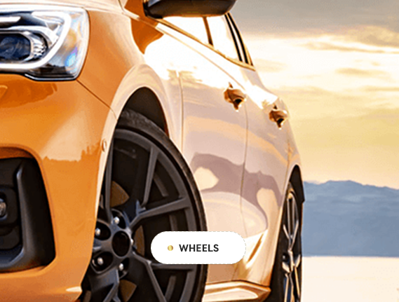 Auto Protection Detailing in Sterling Heights, MI (6)