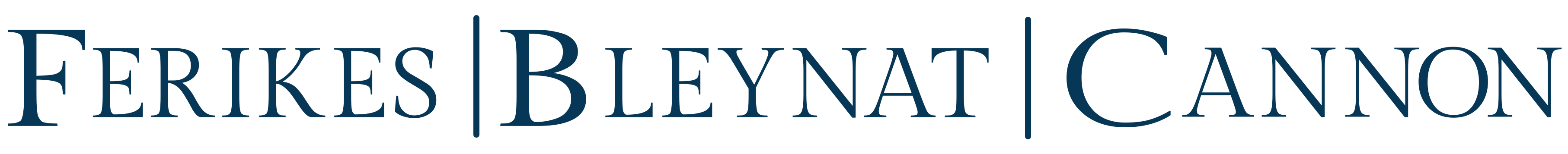 Ferikes Bleynat & Cannon, Western North Carolina Trial Lawyers in Asheville, NC (5)