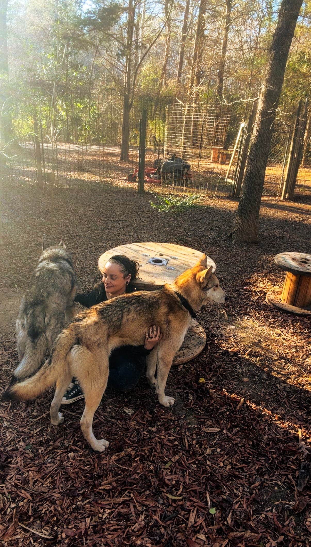 Revolutionary Mystic | Black Moon Ritual Co. & Wild Canid Sanctuary in Eden, NC (3)