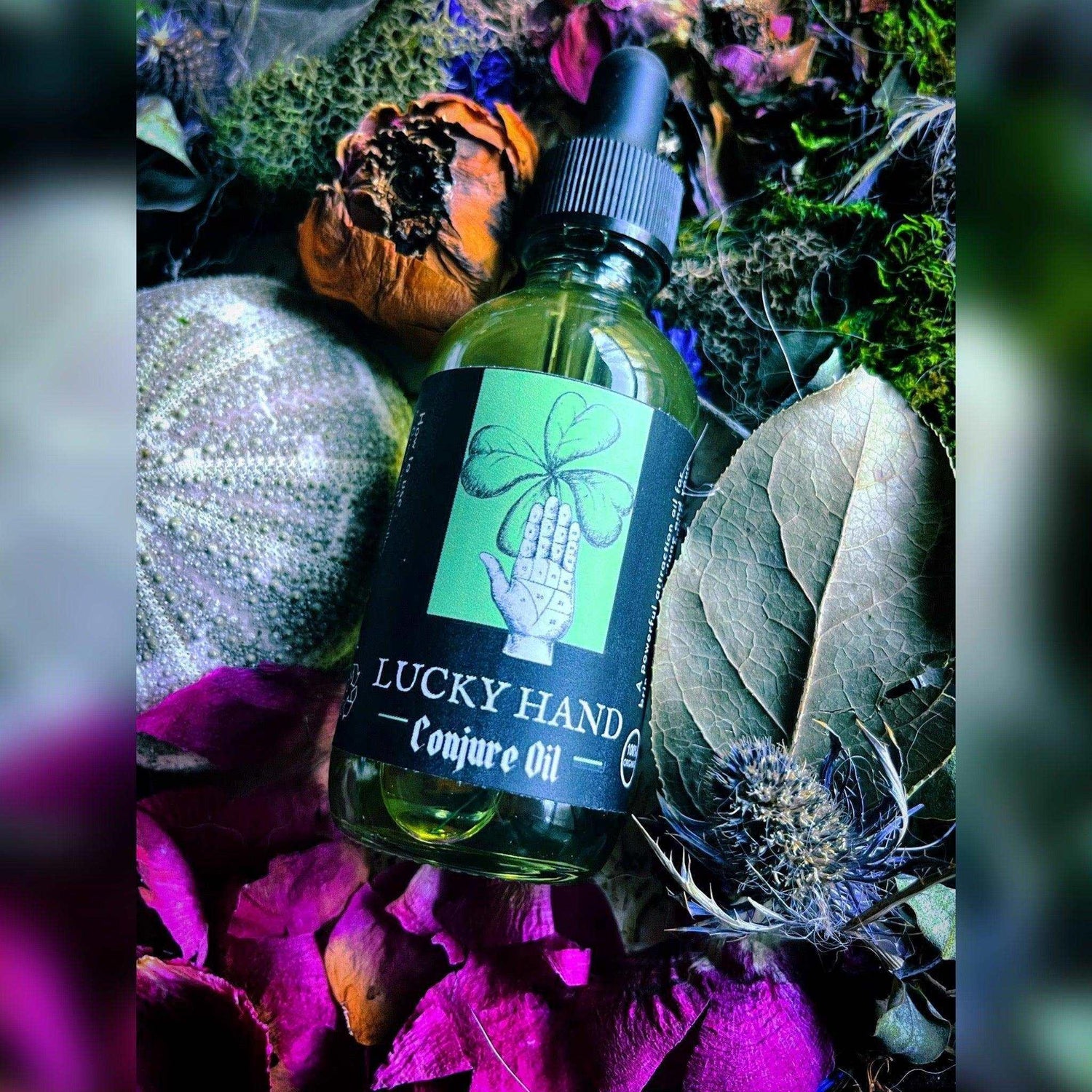 Revolutionary Mystic | Black Moon Ritual Co. & Wild Canid Sanctuary in Eden, NC (6)