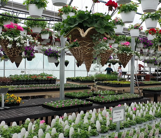 Homestead Country Market in Wellston, OH