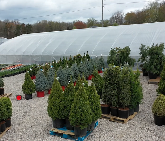 Homestead Country Market in Wellston, OH (4)