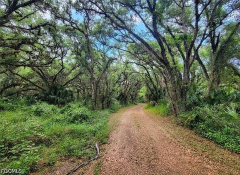 Weatherford Realty Group in LaBelle, FL (4)