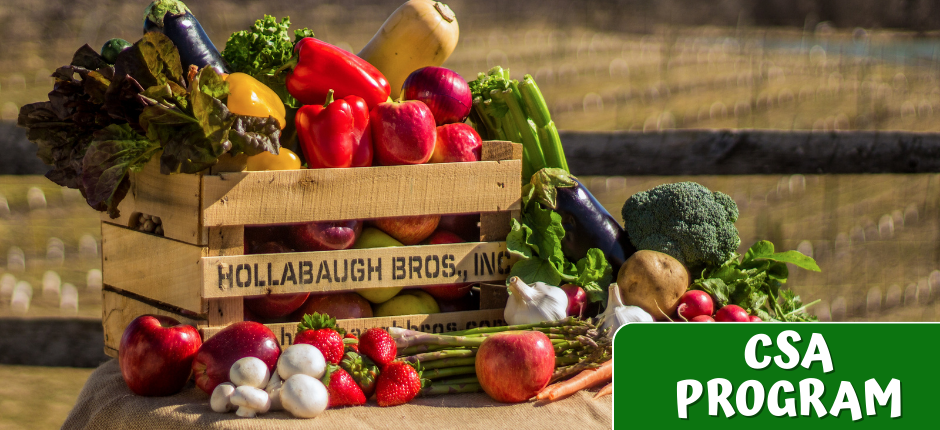 Hollabaugh Bros., Inc. in Biglerville, PA (3)