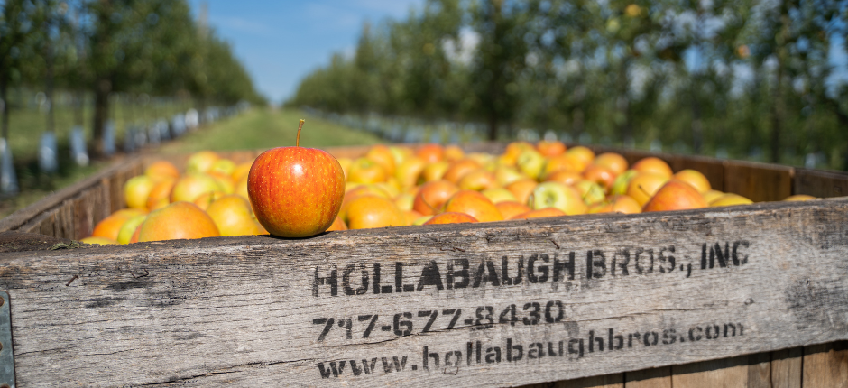 Hollabaugh Bros., Inc. in Biglerville, PA (6)