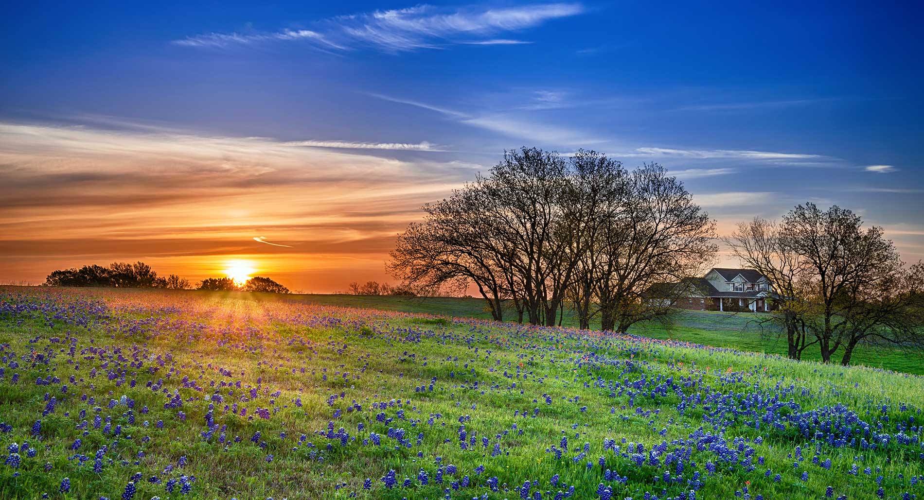HCR Realty LLC in Haskell, TX