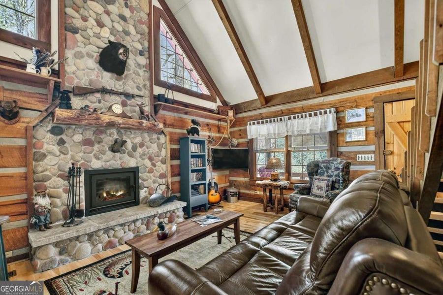 Modern Rustic Living Real Estate in Ellijay, GA (4)