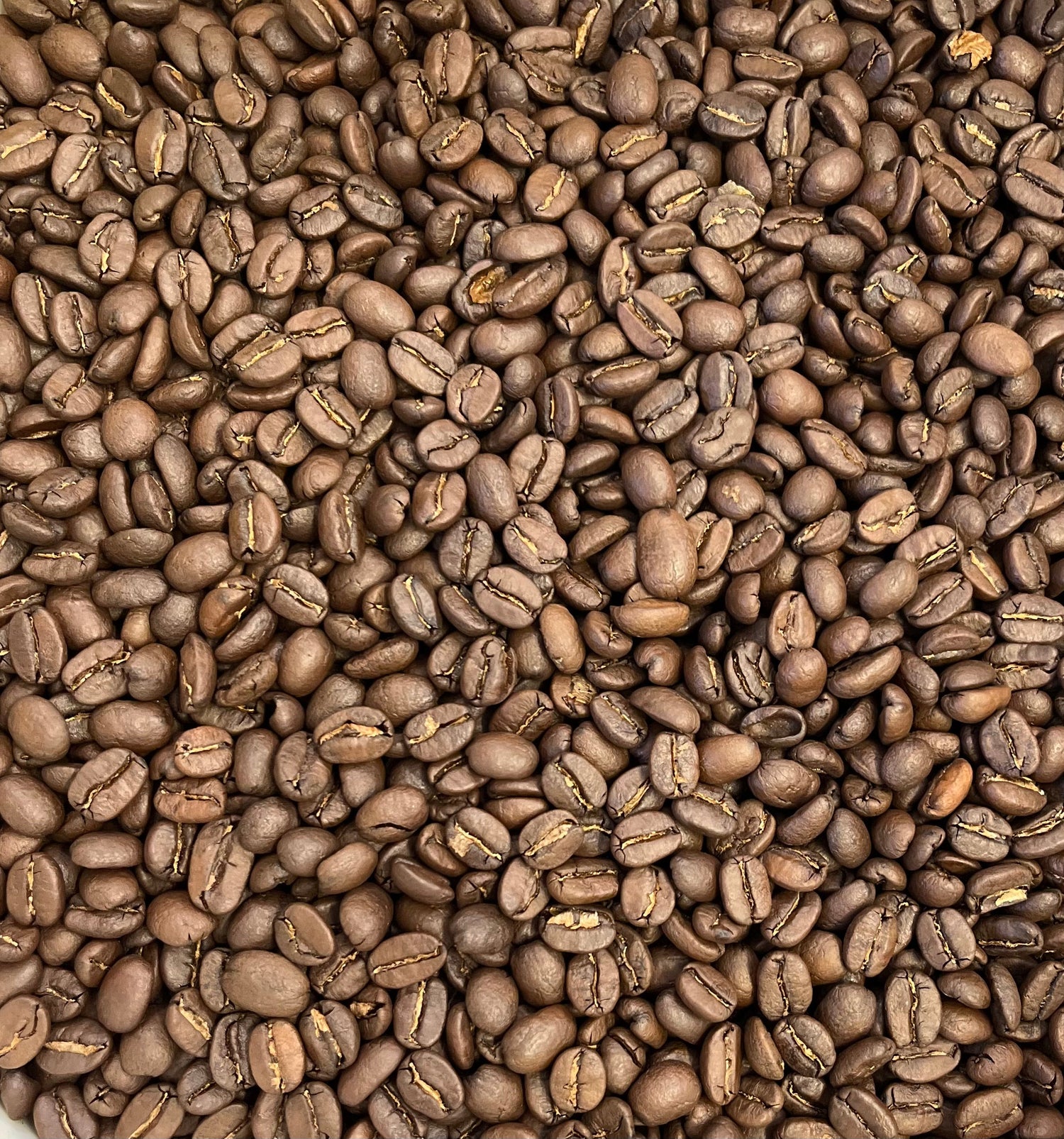 Big Kick Coffee in Charleston, SC (2)