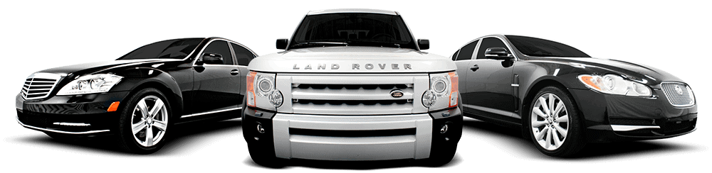 Evolution Detailing and Ceramic Coatings in Palmetto, FL (3)