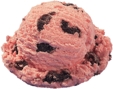 Scoops Ice Cream Parlor in Burgaw, NC (2)